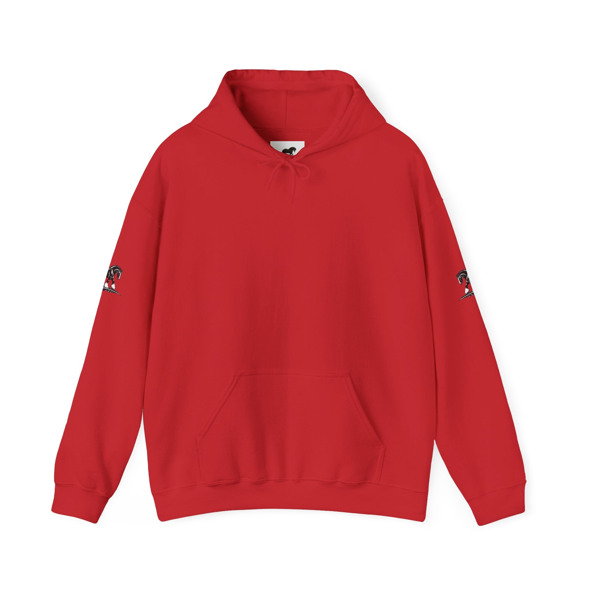 Black Feather Horse Hoodie — Equestrian Graphic Sweatshirt