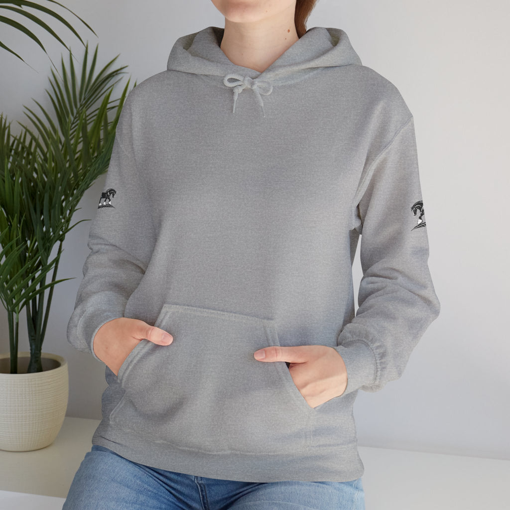 Black Feather Horse Hoodie — Equestrian Graphic Sweatshirt