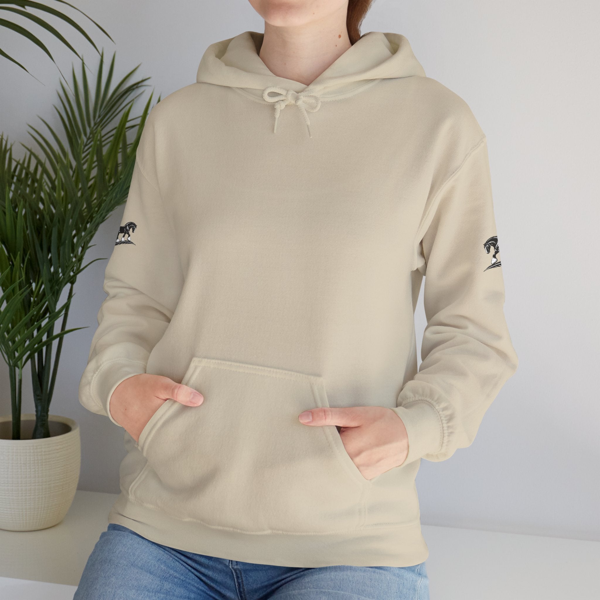 Black Feather Horse Hoodie — Equestrian Graphic Sweatshirt