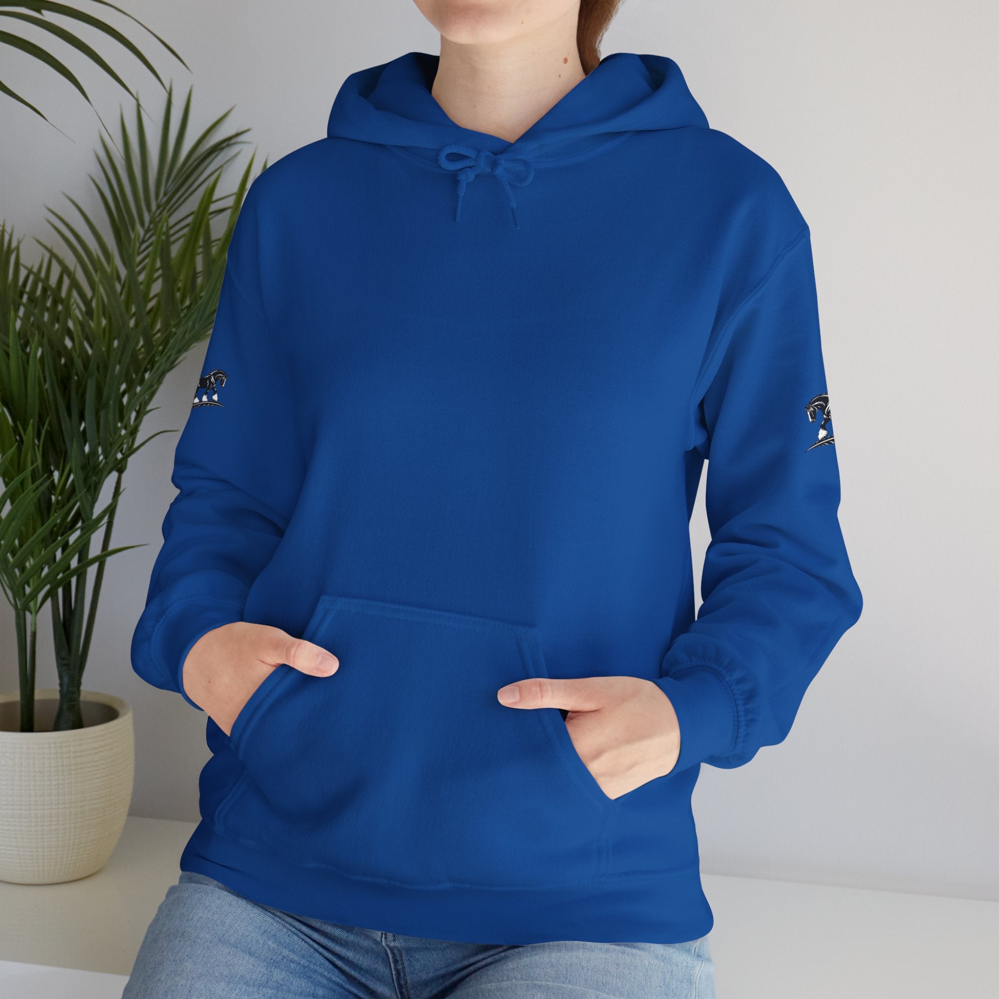 Black Feather Horse Hoodie — Equestrian Graphic Sweatshirt