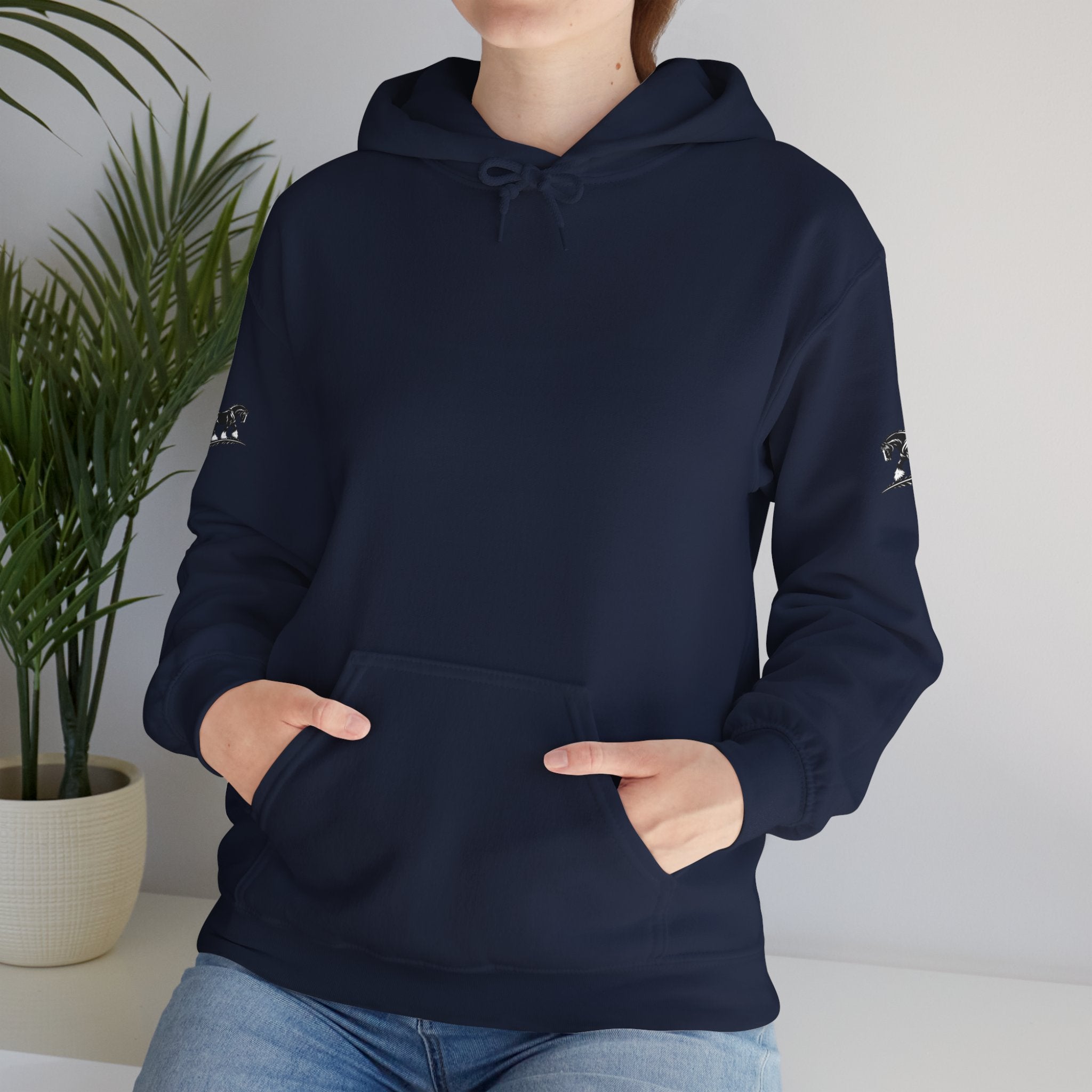 Black Feather Horse Hoodie — Equestrian Graphic Sweatshirt