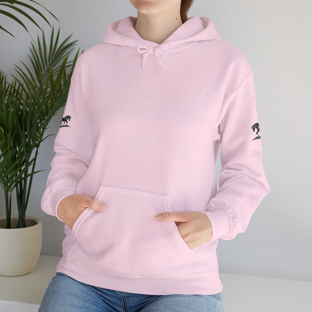Black Feather Horse Hoodie — Equestrian Graphic Sweatshirt