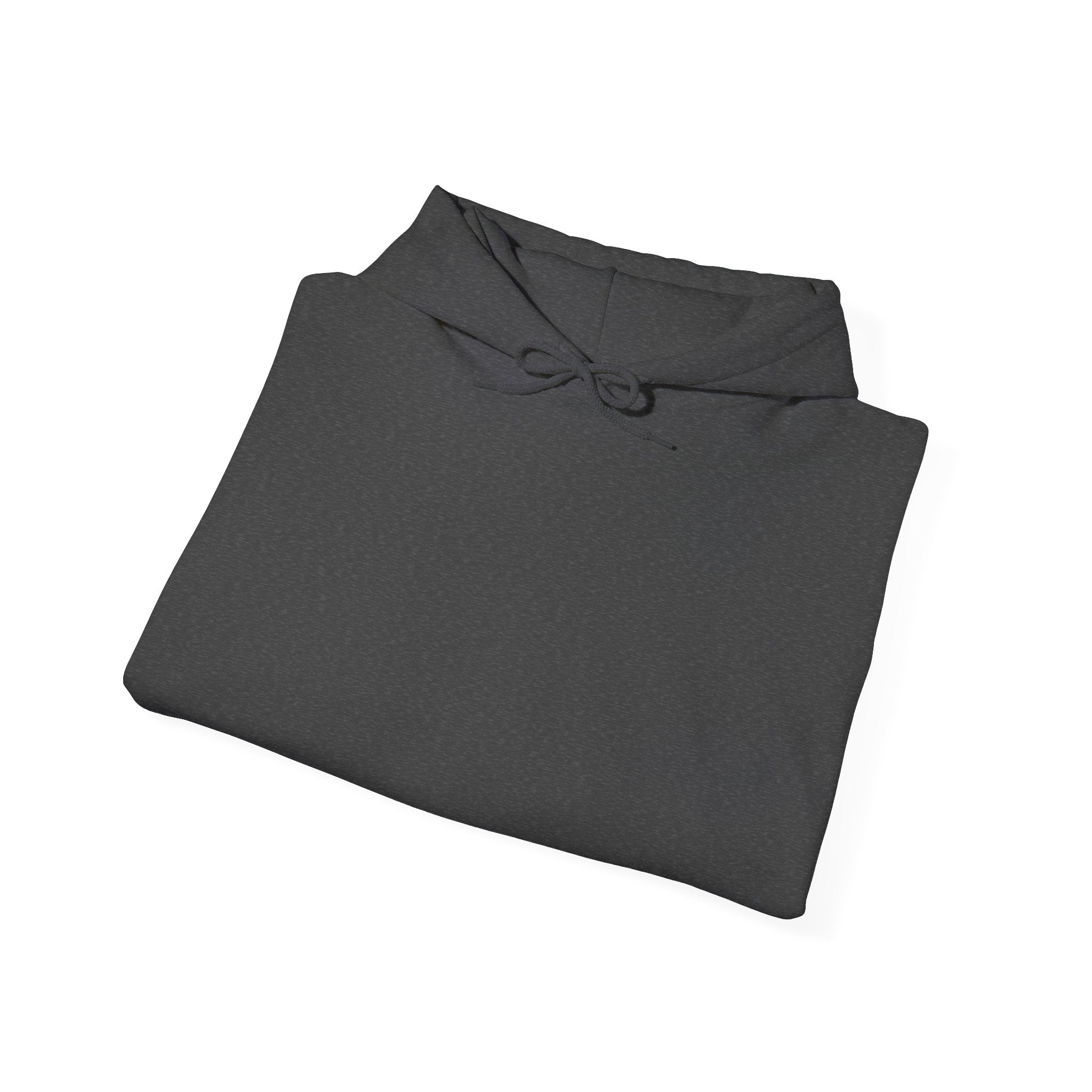 Elegant Shire Horse Silhouette Hoodie — Black Equestrian Graphic Sweatshirt